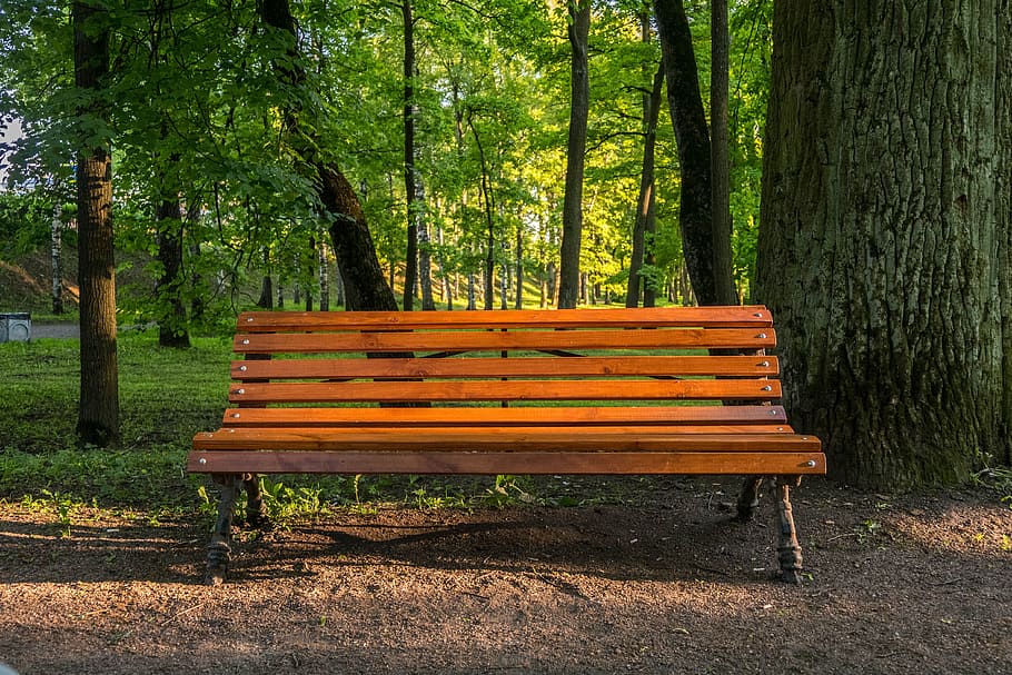 brown wooden bench, Evening, Progulka, park, wonderful, mood, HD wallpaper