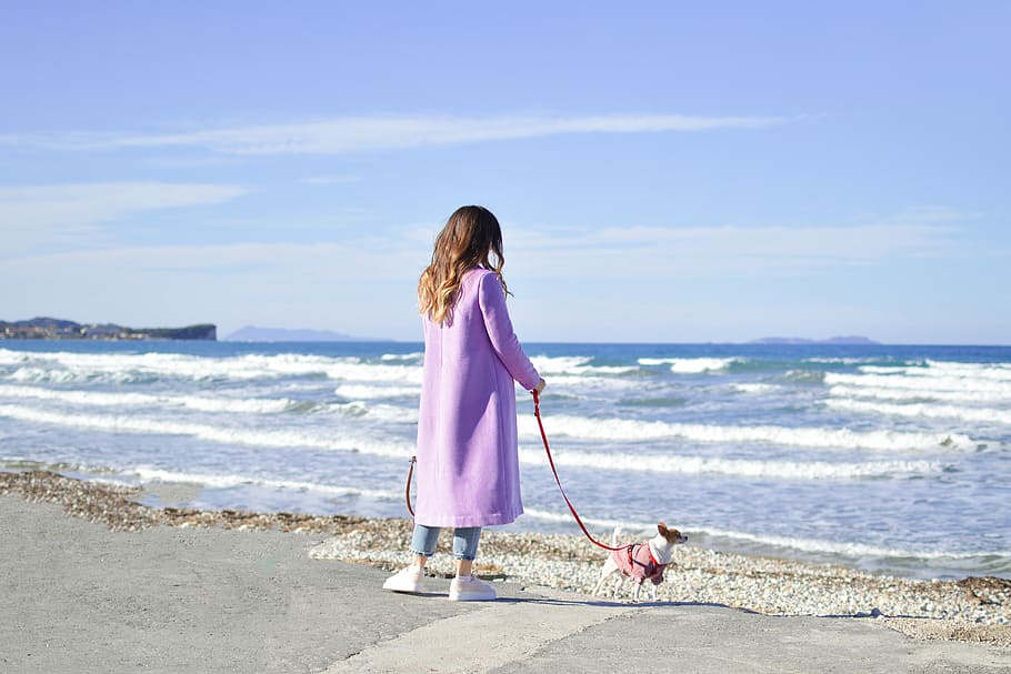 person in purple trench coat near body of water, woman with her dog standing on seashore HD wallpaper
