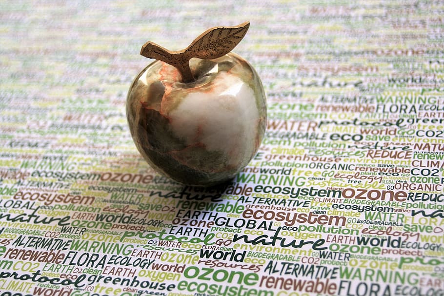 green apple fruit ceramic figurine, eco, agate, stone, closeup HD wallpaper