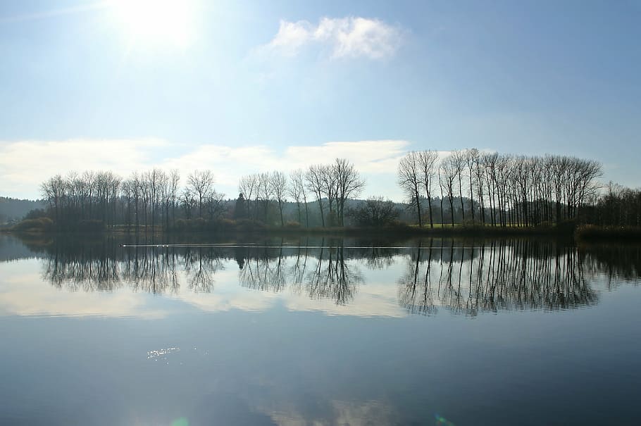 spieglung, back light, water, tree, trees, silhouette, atmosphere HD wallpaper