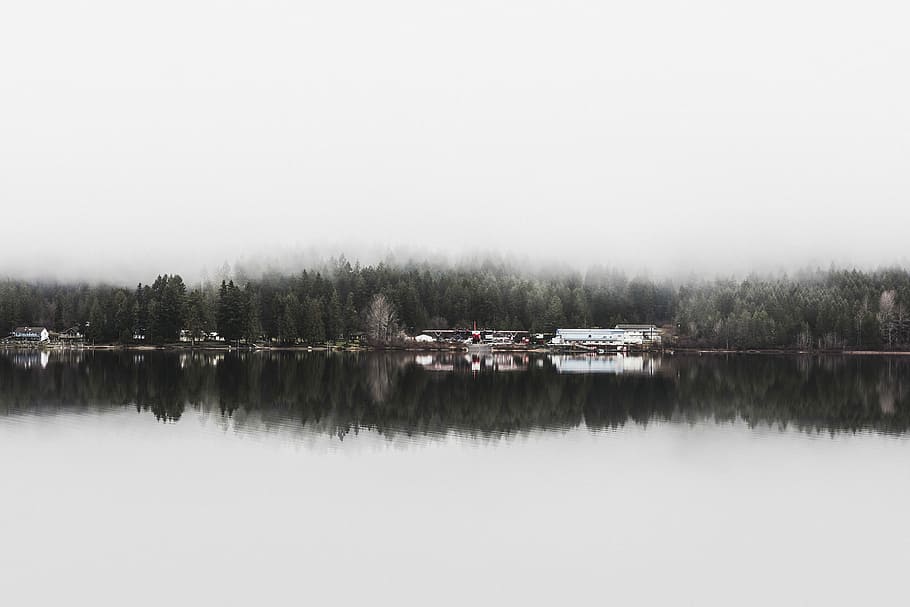 moody mornings, white house near body of water and trees, lake HD wallpaper