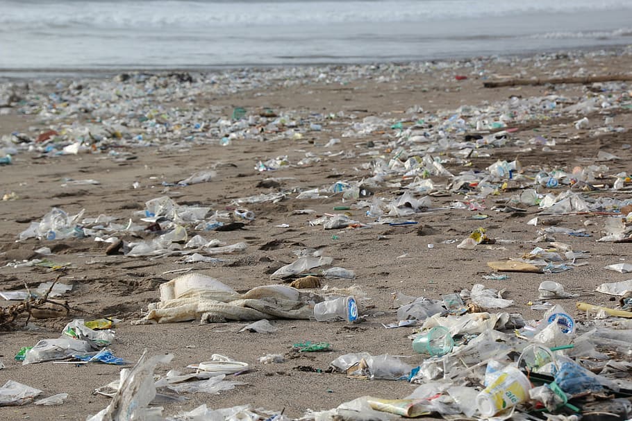 pile of garbage on seashore during daytime, environment, beach, HD wallpaper