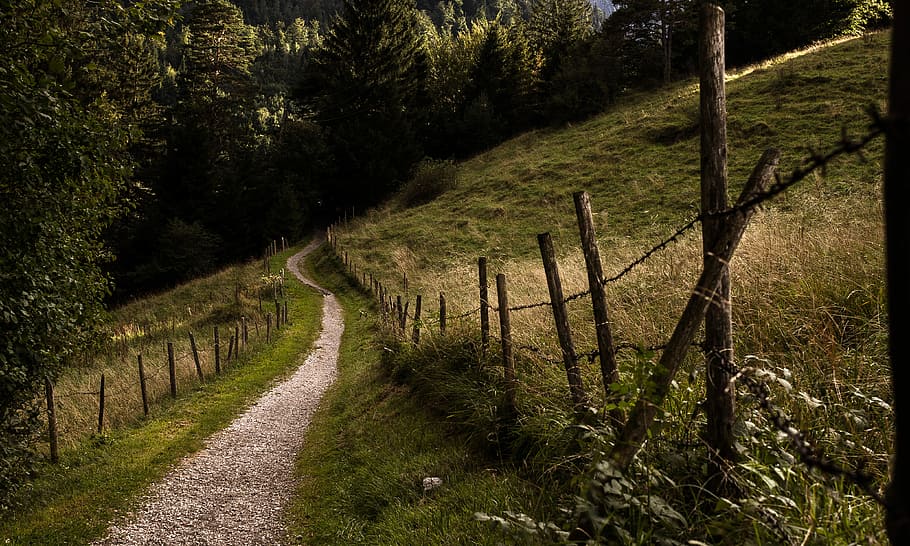 dirt road during daytime, green grass near trees, fence, hill HD wallpaper