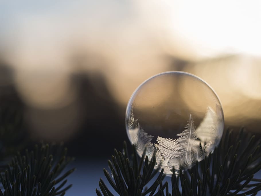 selective focus photo of clear bubble, rule of thirds photography of bubble HD wallpaper