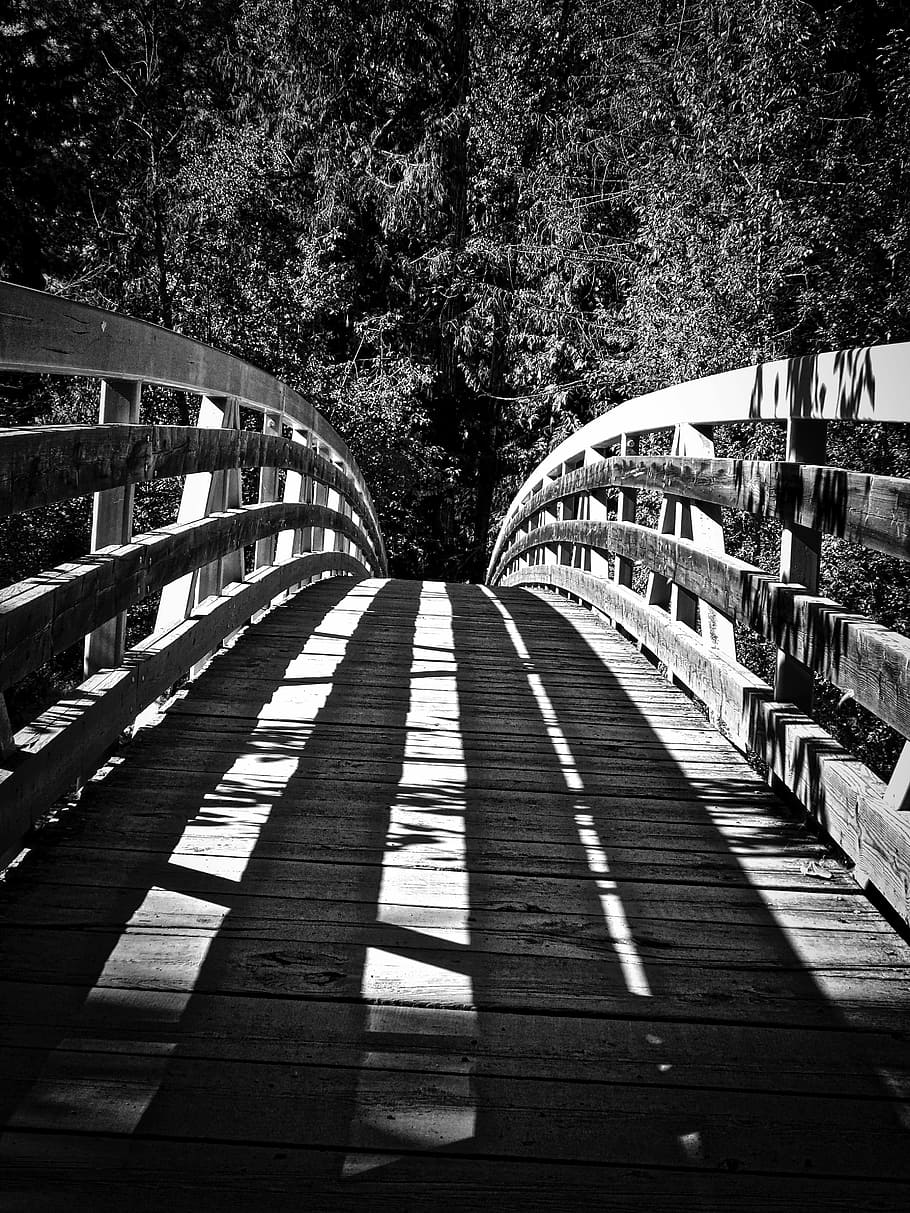 Bridge, Crossing, Wooden, Construction, perspective, tree, sunlight HD wallpaper