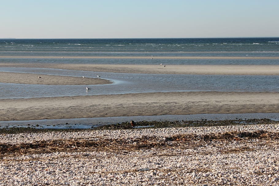 low tide, sand, ecology, horizontal, vacation, beach, water HD wallpaper