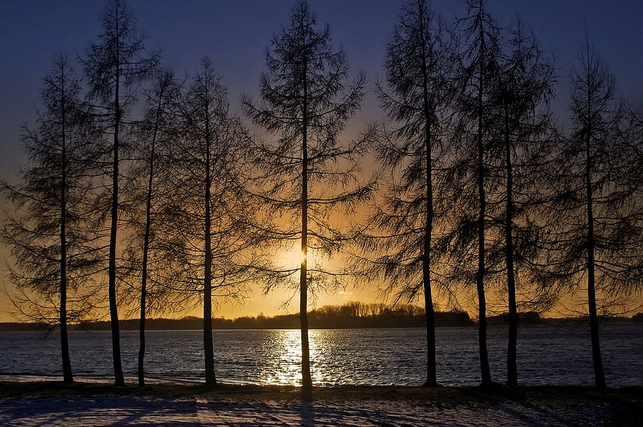 lake, tree, nature, landscape, water, poland, scenery, sunset HD wallpaper