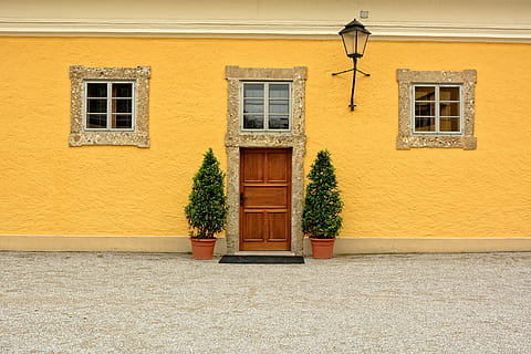 brown wooden 5-panel door between two green leafed plants, input HD wallpaper