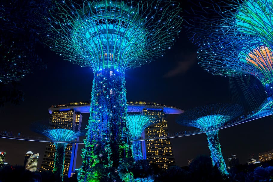 blue lighted towers during nighttime, low angle photography of lighted building