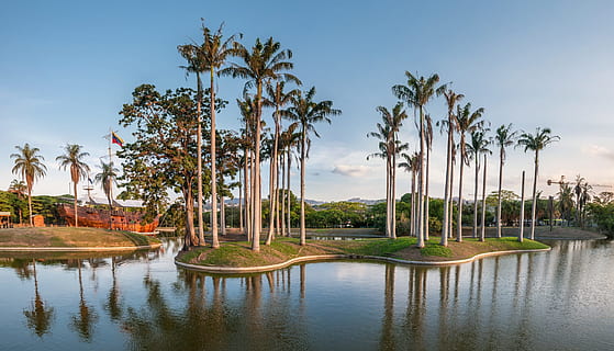 palm trees beside body of water, view, panoramic, landscape HD wallpaper