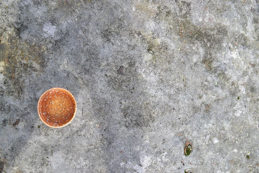 tea, bowl, rock, cup, drink, healthy, beverage, directly above HD wallpaper