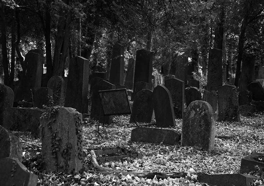 gravestones during daytime greyscale photography, cemetery, tombstone, HD wallpaper