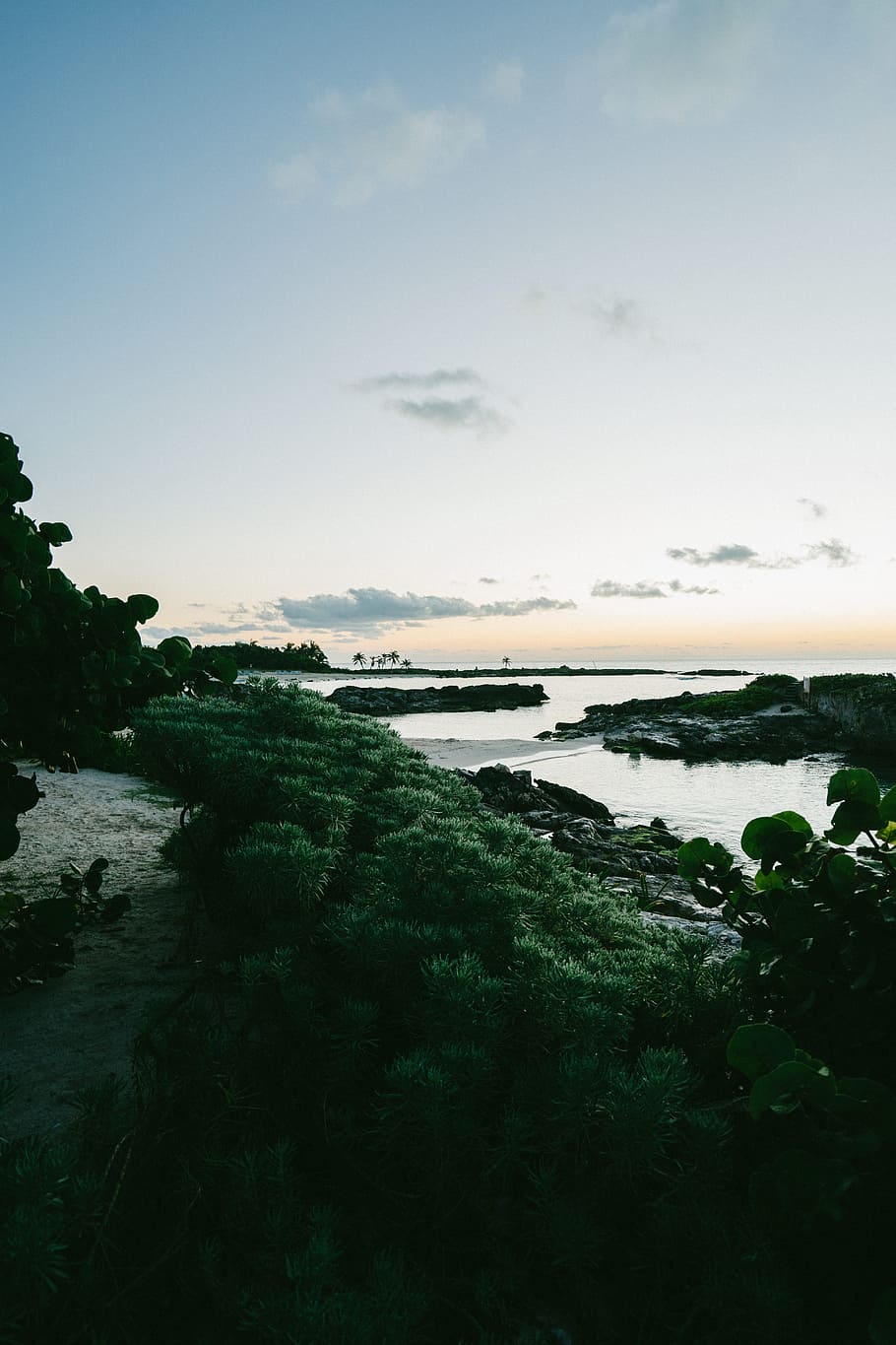 sea, dawn, landscape, nature, beach, dusk, ocean, plants, rocks HD wallpaper