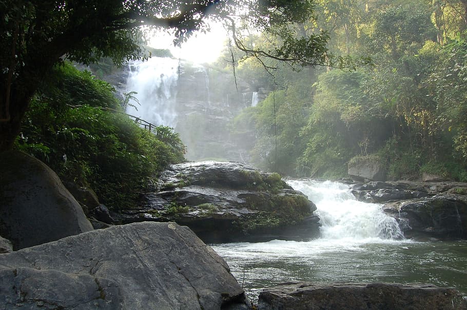 river stream between trees during daytime, waterfall, landscape HD wallpaper