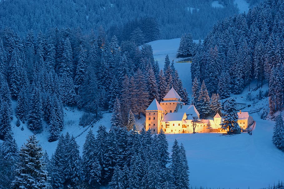white castle surrounded by pine trees, white mansion in middle of snowfield with lights during day, HD wallpaper