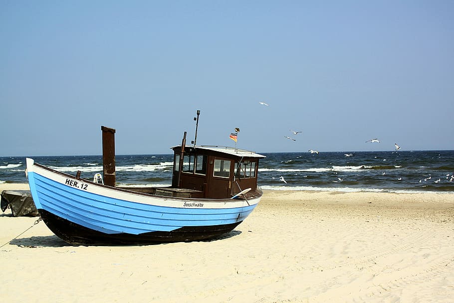 blue and black boat near beach, sea, waters, sand, ocean, nautical vessel HD wallpaper
