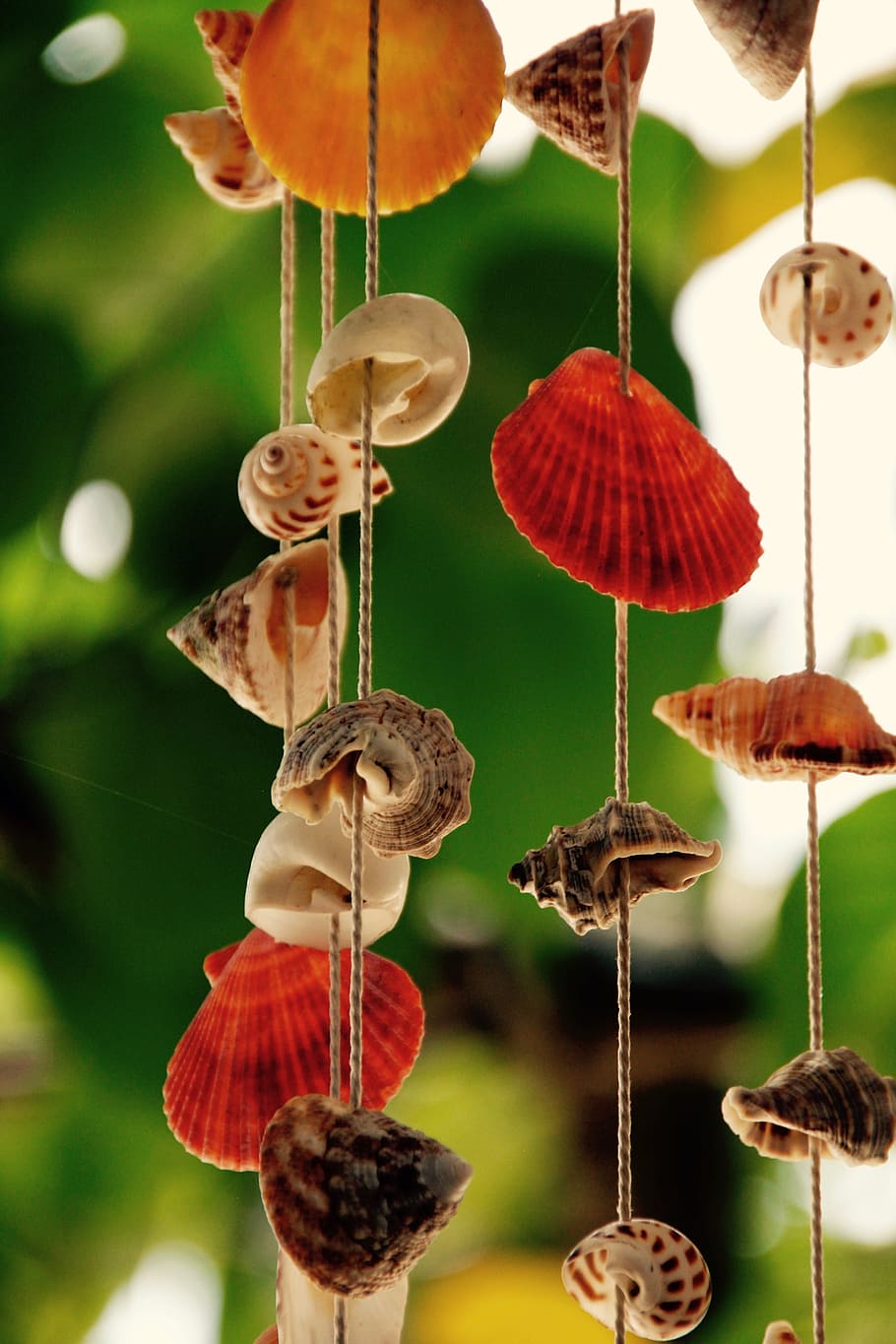 Mobile, Mussels, Sound, Harmony, glockenspiel, windspiel, symbol HD wallpaper