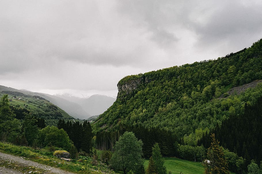green trees on the hill and mountain during cloudy sky, black HD wallpaper