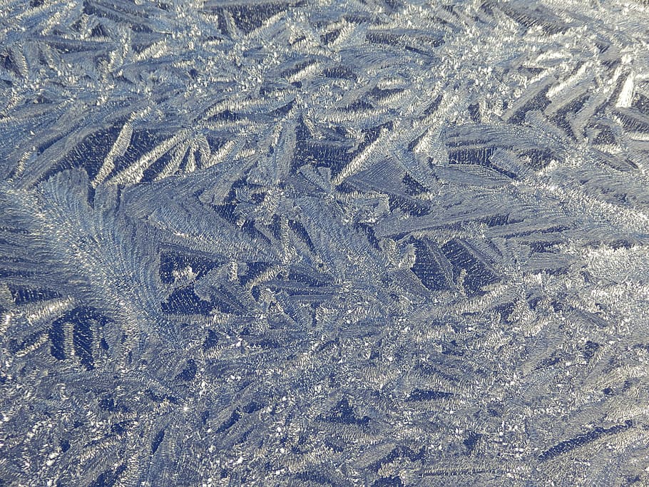frost, jack frost, winter, ice, cold, design, feather, blue, HD wallpaper