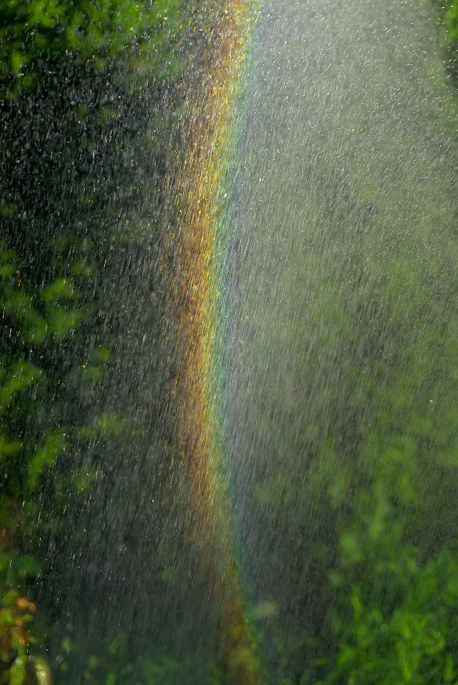 rainbow, water, spray, water splashes, garden, green, colorful HD wallpaper