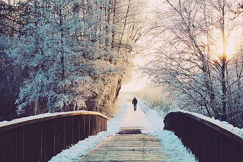 person walking in the pathway, man, bridge, lonely, sun, wintry HD wallpaper