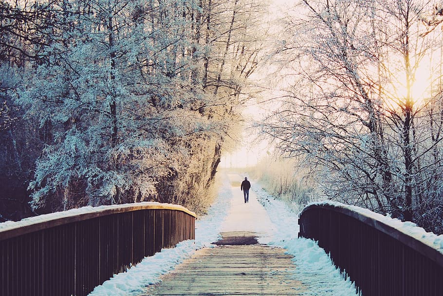 person walking in the pathway, man, bridge, lonely, sun, wintry HD wallpaper