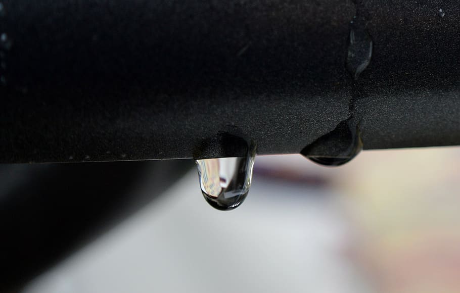 rain, drip, water, wet, macro, close-up, drop, focus on foreground HD wallpaper