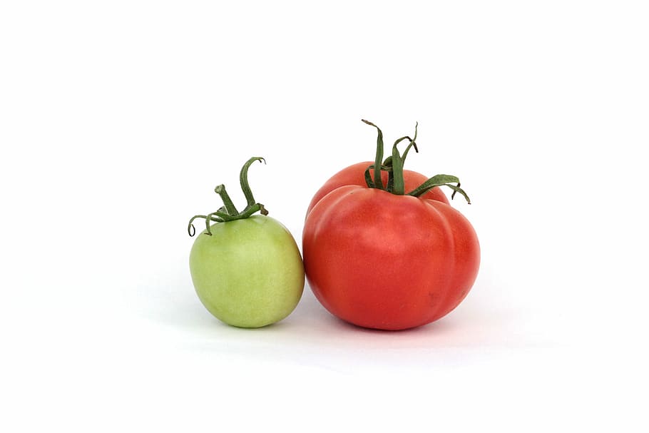 red and green tomatoes on white surface, summer, dacha, harvest HD wallpaper