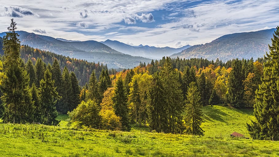 green grass field, mountains, view, forest, autumn, alpine, beautiful, HD wallpaper