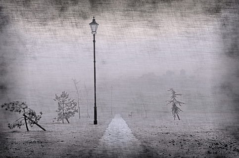lamp post near pathway grayscale painting, park, walkway, old HD wallpaper