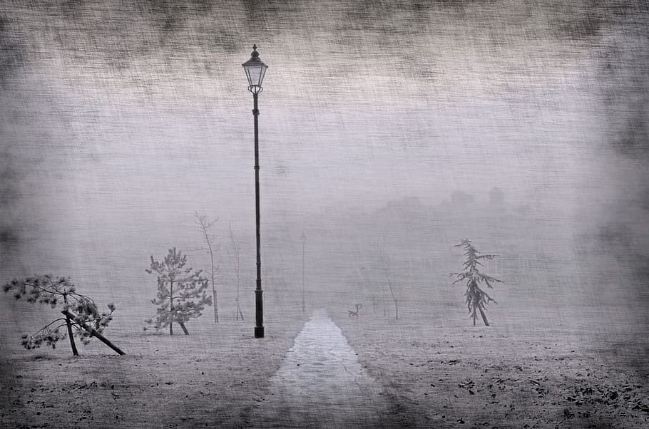 lamp post near pathway grayscale painting, park, walkway, old HD wallpaper