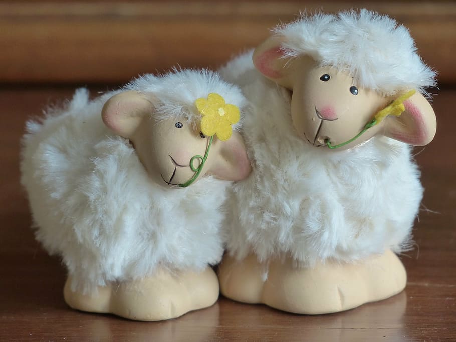 two white lamb figurines, sheep, schäfchen, schäfle, decoration, HD wallpaper