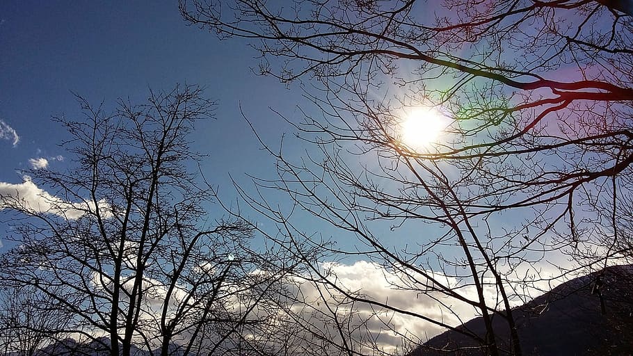 sun, trees, ray, sky, clouds, nature, forest, winter, outdoors HD wallpaper