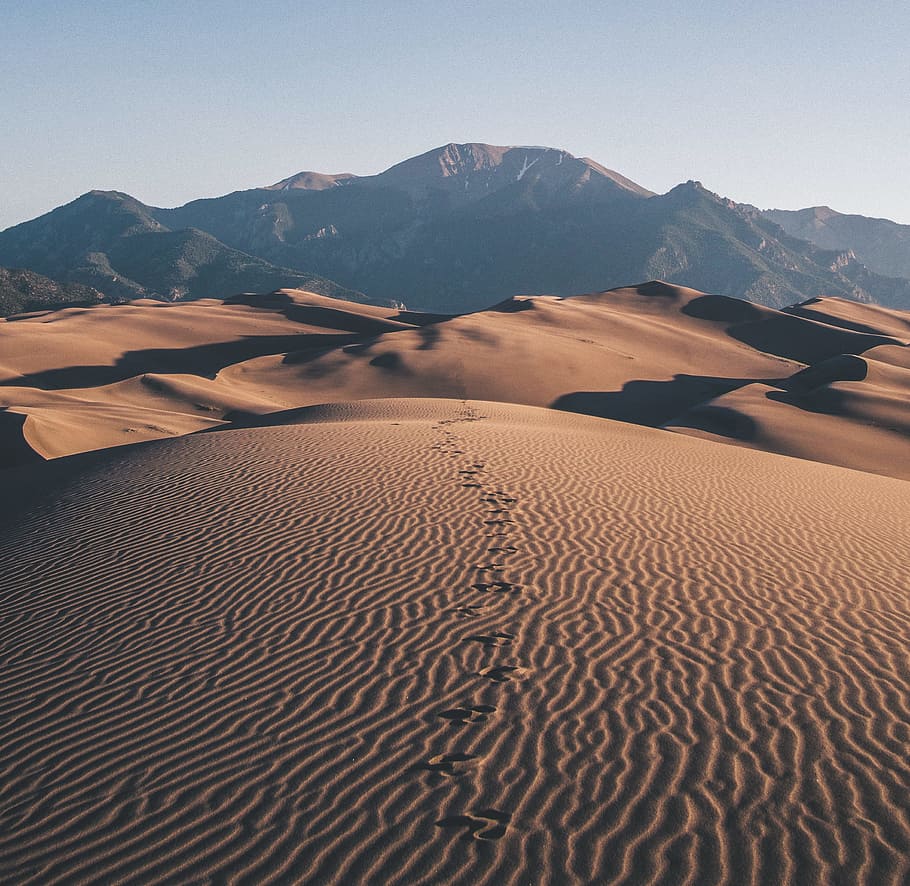 footprints on desert towards mountain, footprints on the desert HD wallpaper