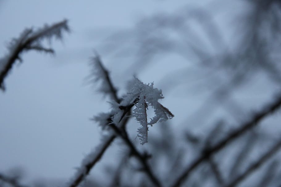 winter, snow, cold, christmas, landscape, xmas, snowfall, ice HD wallpaper