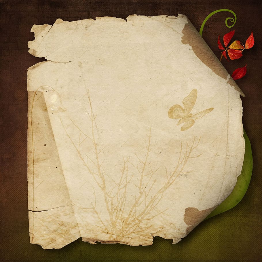 paper, page, old, parchment, no people, close-up, indoors, blank HD wallpaper