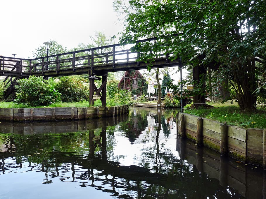spreewald, depth, water, boot, nature, reflection, tree, plant HD wallpaper