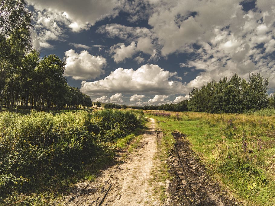 road, dirt, cloud, trees, sky, plant, cloud - sky, tranquil scene HD wallpaper