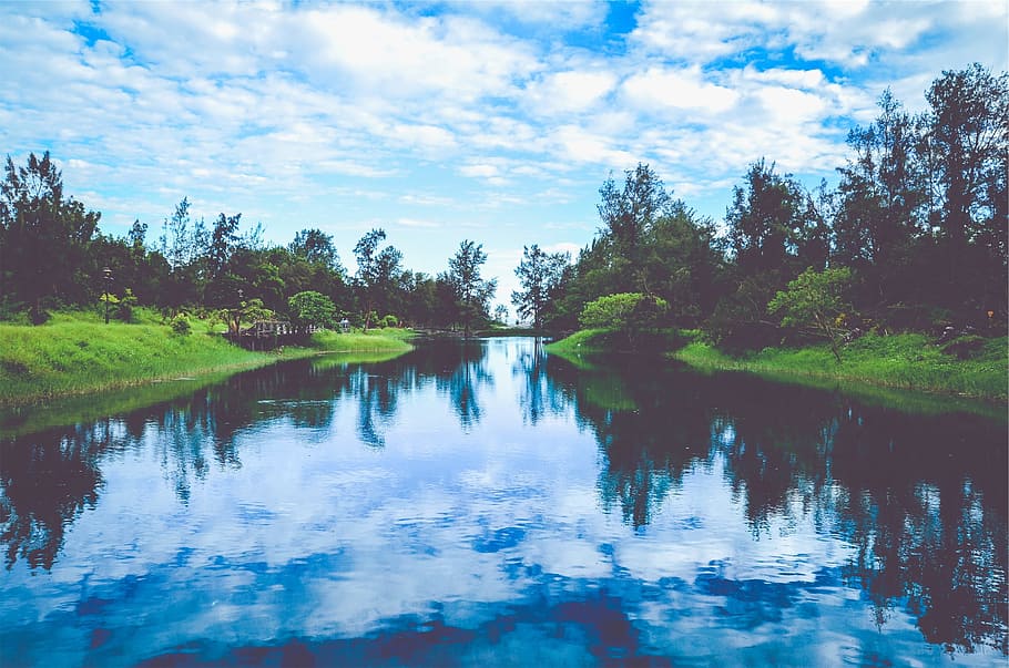 river, water, blue, sky, grass, trees, nature, reflection, tranquility HD wallpaper