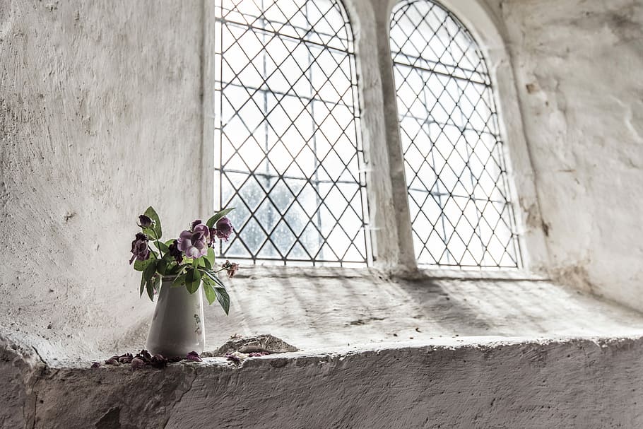 green and purple petal flowers on white vase near window, purple flowers on white vase beside the window HD wallpaper