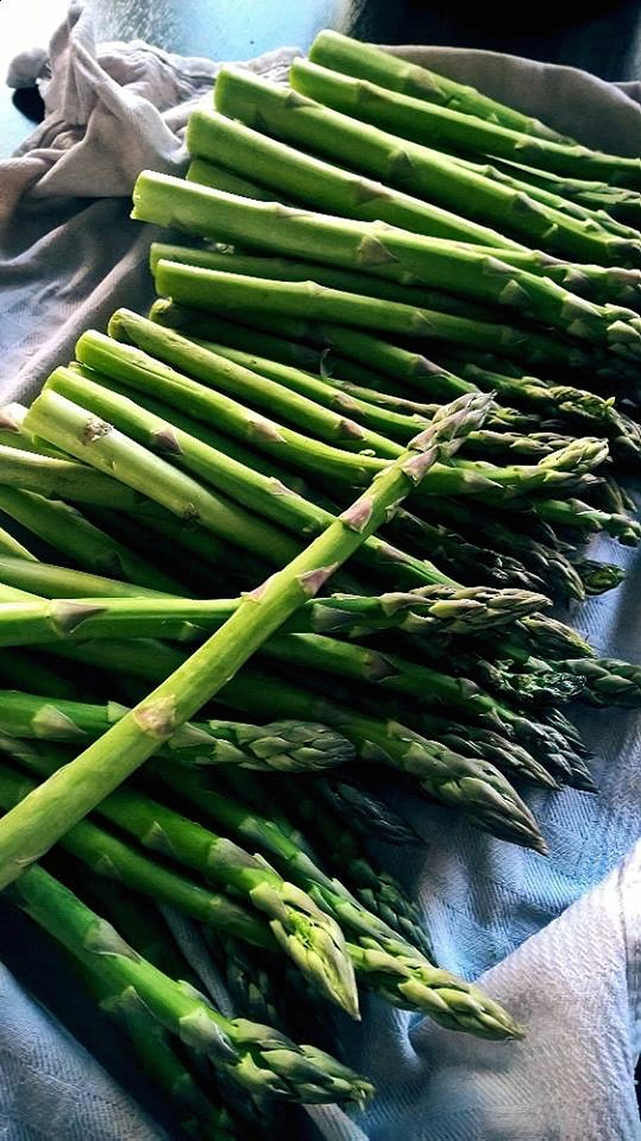 Asparagus, Kitchen, Cook, Eat, vegetables, healthy, food, nutrition HD wallpaper