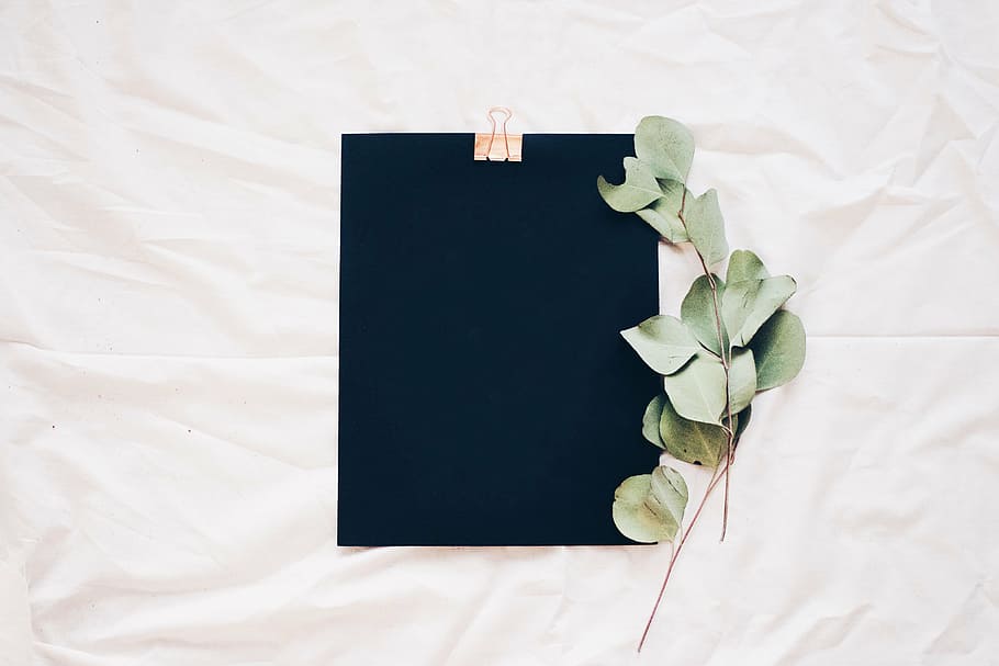 black clipboard and green leaf on white textile, bed, sheet HD wallpaper