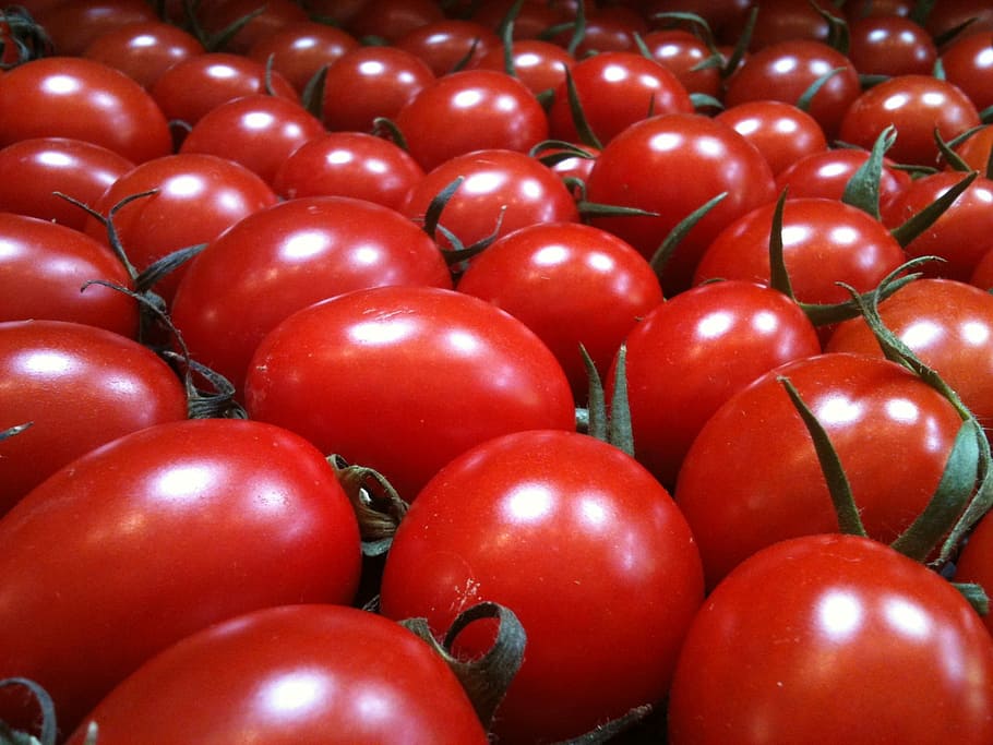 Tomatoes, Cherry, Food, Healthy, red, diet, organic, nutrition HD wallpaper