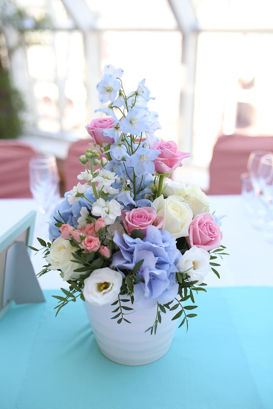 selective focus photography of blue and white petaled flowers HD wallpaper