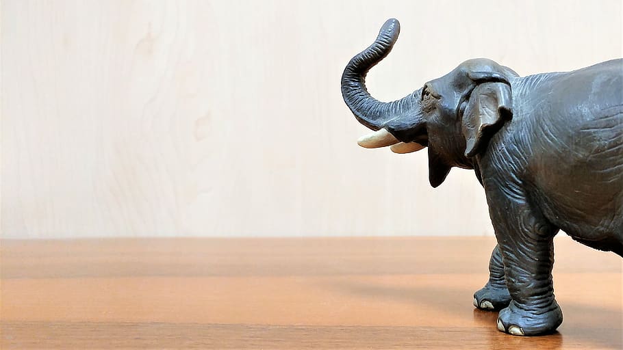 elephant, deco, toy, mammal, one animal, animal wildlife, animal body part HD wallpaper