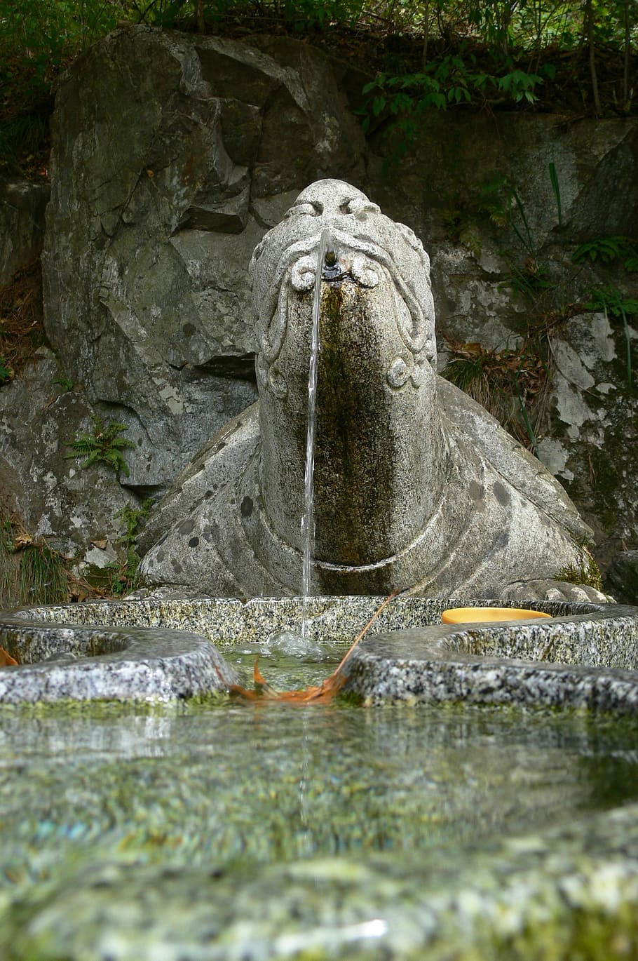 fountain, stone, turtle, water, drinking, fresh, carved, ornamental HD wallpaper