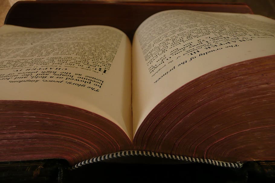 book page, open, reading, literature, bible, information, learning HD wallpaper
