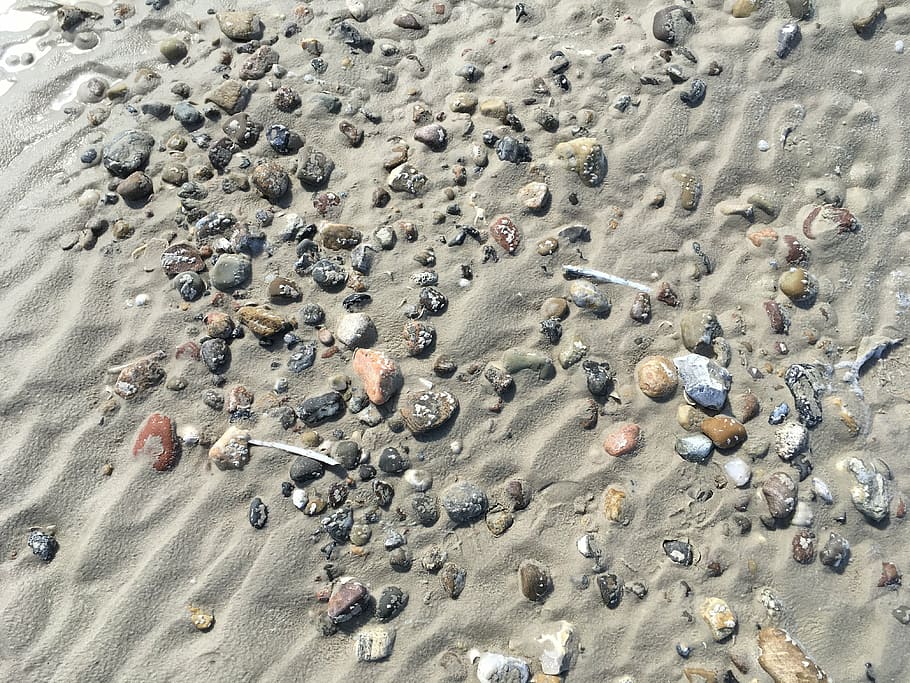 north sea, beach, sand, flints, coast, by the sea, landscape HD wallpaper