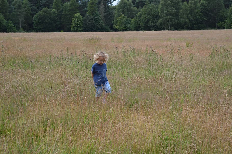 toddler standing in the middle of grass, boy, child, happy HD wallpaper