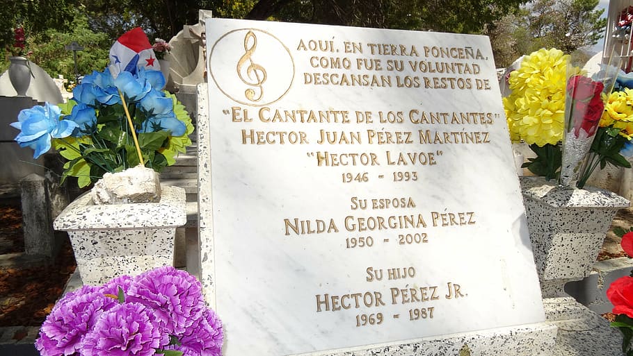 tomb, hector lavoe, pantheon, flowering plant, text, communication, HD wallpaper
